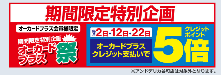 オーカードプラス祭